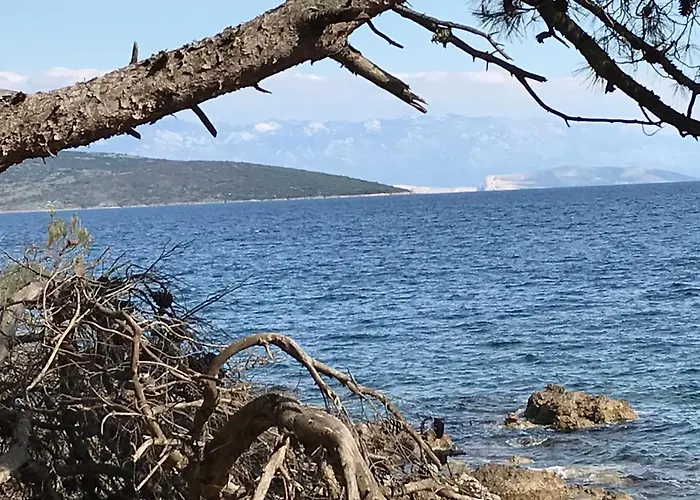 Διαμέρισμα Getruda